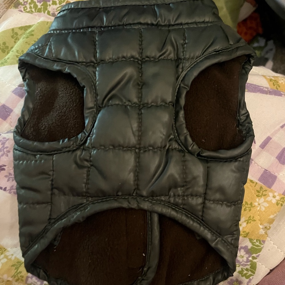 Doggie vest